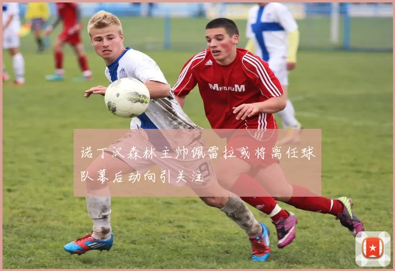 诺丁汉森林主帅佩雷拉或将离任球队幕后动向引关注